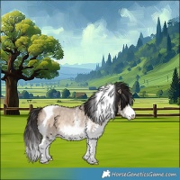 Horse Color:White Spotted Bay Dun Tobiano Rabicano 