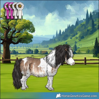 Horse Color:White Spotted Bay Dun Tobiano Rabicano