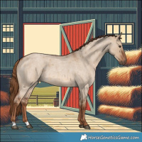 Horse Color:Red Dun Roan 