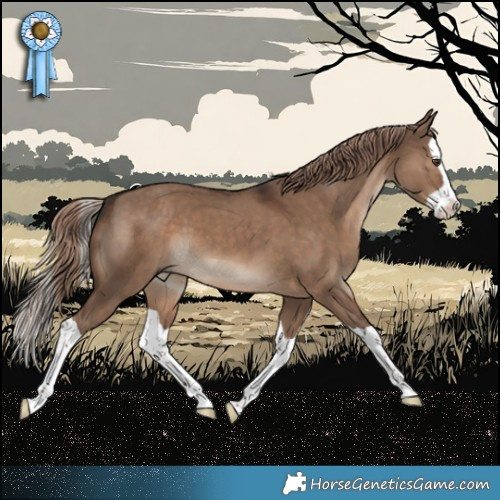 Horse Color:Liver Red Dun Splash 