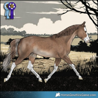 Horse Color:Liver Red Dun Splash 
