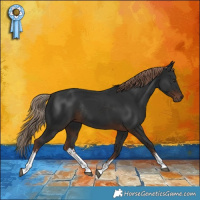 Horse Color:White Spotted Liver Chestnut Rabicano 