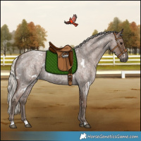Horse Color:White Spotted Silver Blue Roan