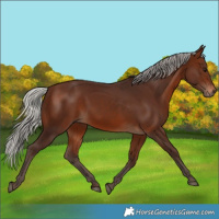 Horse Color:Silver Brown