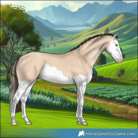 Horse Color:Amber Champagne Dun Splash 