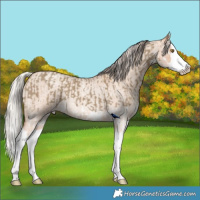 Horse Color:Classic Cream Champagne Splash and White Spotted Silver Classic Champagne Roan Dun Splash