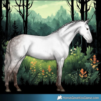 Horse Color:Gray Chestnut 