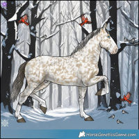 Horse Color:Buckskin Dun Splash Appaloosa 