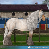 Horse Color:Silver Buckskin Roan 