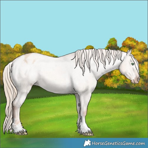 Horse Color:Gold Champagne Dun Sabino Varnish 