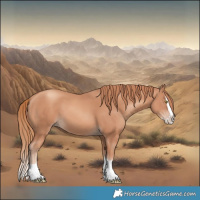 Horse Color:Gold Champagne Splash 