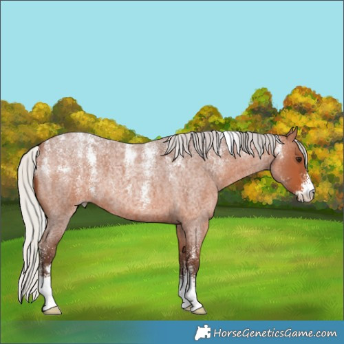 Horse Color:Powder White Silver Brown Roan 