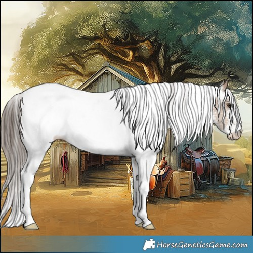 Horse Color:White Spotted Classic Champagne 