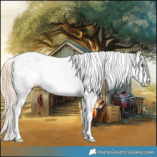 Horse Color:Gold Champagne Sabino 