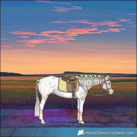 Horse Color:Chestnut Ice Tobiano Blanket 