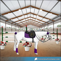 Horse Color:Silver Black Ice Tobiano Frame Blanket 