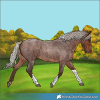 Horse Color:Silver Brown Roan Tobiano 