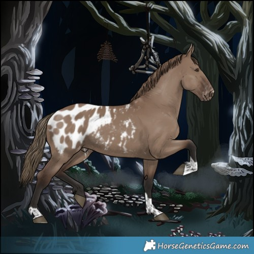 Horse Color:Liver Red Dun Tobiano Appaloosa 
