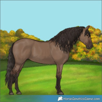 Horse Color:Liver Red Dun 