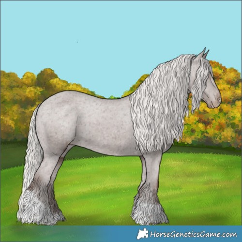 Horse Color:Silver Black Tobiano Appaloosa