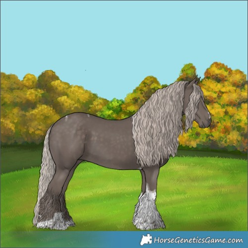 Horse Color:Silver Black Tobiano 