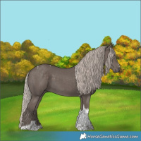 Horse Color:Silver Black Tobiano 