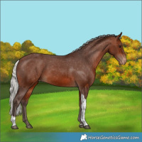 Horse Color:Silver Brown Tobiano Varnish 