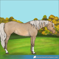 Horse Color:Silver Buckskin Dun Tobiano Varnish 