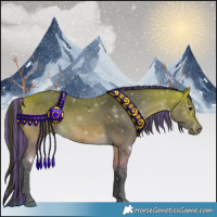 Horse Color:Painted Buckskin 