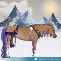 Horse Color:Painted Red Dun Tobiano 