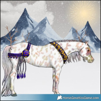 Horse Color:Nacre Palomino Roan Appaloosa 