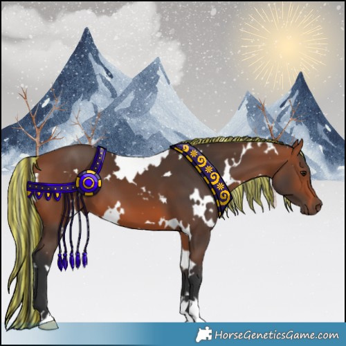 Horse Color:Painted White Spotted Bay 