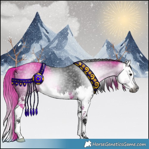 Horse Color:Gray Smoky Black Splash Rabicano 