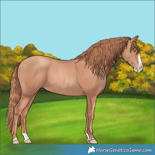 Horse Color:Gold Champagne Splash 