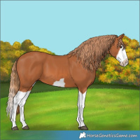 Horse Color:Chestnut Splash Frame