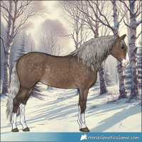 Horse Color:Silver Brown Dun Splash Rabicano 