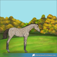 Horse Color:Buckskin Ice Tobiano