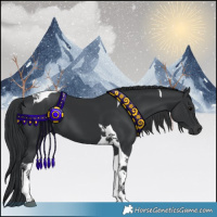 Horse Color:Black Tobiano 