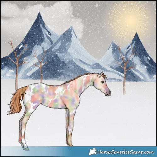Horse Color:Nacre White Spotted Red Dun 