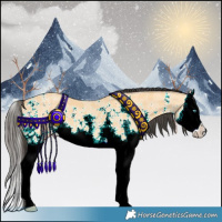 Horse Color:Buckskin Sabino Splash