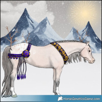 Horse Color:Platinum Bay Blanket