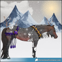 Horse Color:Brown Tobiano 