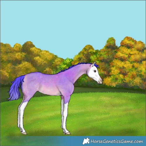 Horse Color:Watercolor Buckskin Dun Splash 