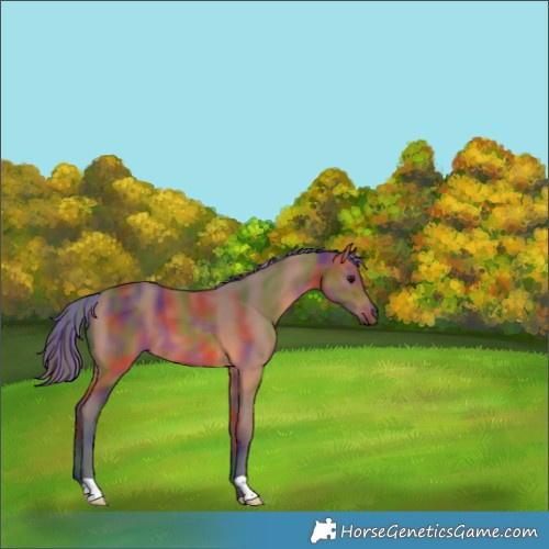 Horse Color:Painted Nacre Bay