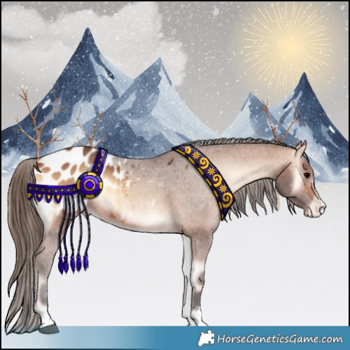 Horse Color:Bay Onyx Appaloosa 