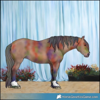 Horse Color:Nacre Bay 