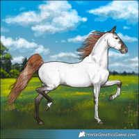 Horse Color:Liver Red Roan Tobiano Near Fewspot 