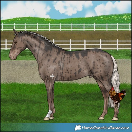 Horse Color:Liver Red Dun Mushroom Varnish Brindle 