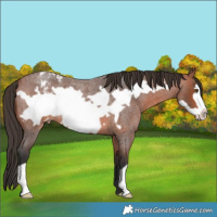 Horse Color:Bay Roan Frame Blanket 