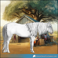 Horse Color:Black Ice Sabino Frame 